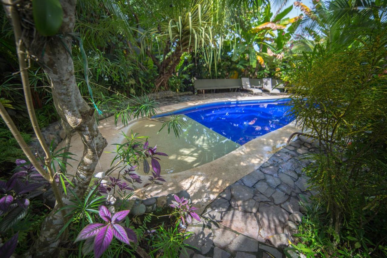 Villas Oasis Manuel Antonio Exteriör bild